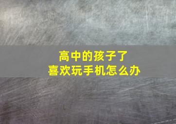 高中的孩子了 喜欢玩手机怎么办